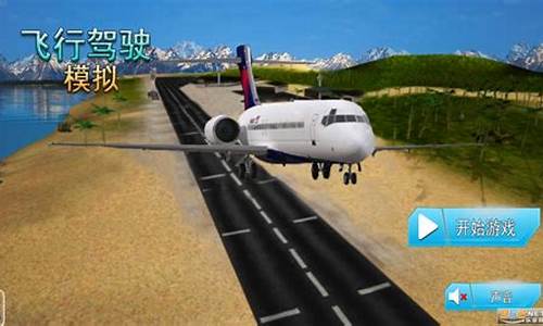 真实飞机模拟驾驶游戏_真实飞机模拟驾驶游戏破解版
